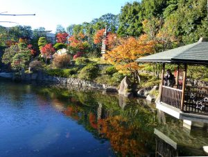mejiro-teien20121101
